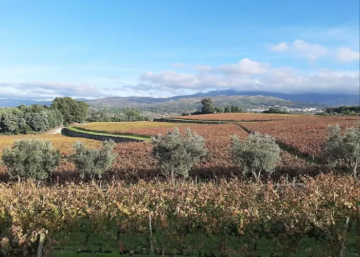 Anibals Boutique Lodging - Serra Da Estrela